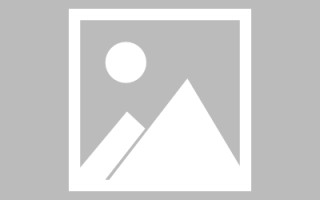 景德镇绥化网站搭建公司有哪些（信息网绥化）